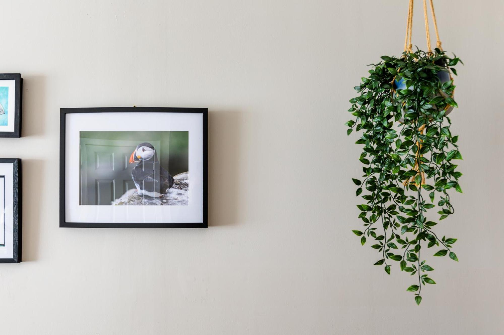 Sea Breeze Appartement Anstruther Buitenkant foto